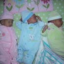 SHANE, AVERY & SIENNA STERNICK SHANE, AVERY & SIENNA STERNICK